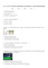 2024～2025学年10月湖南长沙岳麓区湖南师大附中教育集团初三上学期月考物理试卷[原题+解析版]