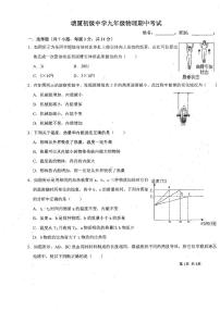 广东省东莞市塘厦初级中学2024-2025学年九年级上学期期中考试物理试卷