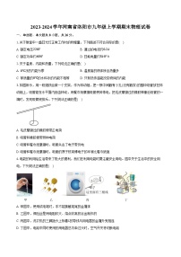 2023-2024学年河南省洛阳市九年级上学期期末物理试卷（含答案）