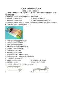 湖南省岳阳市湘阴县岭北五校2024-2025学年八年级上学期11月期中物理试题