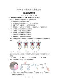 湖南省长沙市浏阳市2024-2025学年九年级上学期11月期中物理试题