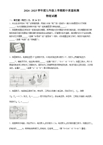 河南省周口市第十九初级中学2024-2025学年九年级上学期期中考试物理试卷(无答案)