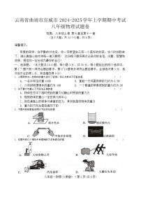 云南省曲靖市宣威市宣威市第一中学2024-2025学年八年级上学期11月期中物理试题