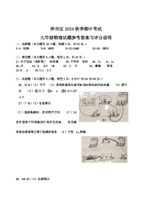 湖北省荆州市沙市区2024-2025学年九年级上学期11月期中物理试题