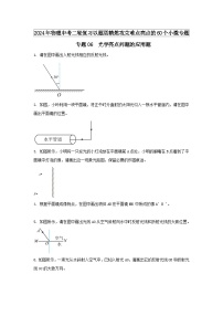 物理中考以题型精炼攻克难点亮点专题06光学亮点问题的应用题练习(原卷版+解析)