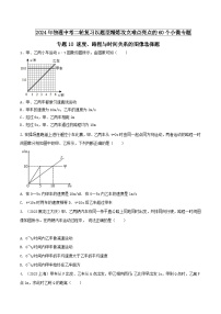 物理中考以题型精炼攻克难点亮点专题10速度、路程与时间关系的图像选择题(原卷版+解析)