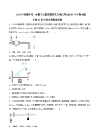 物理中考以题型精炼攻克难点亮点专题31杠杆综合难题选择题(原卷版+解析)