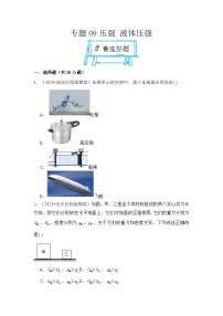 2024年中考物理母题解密专题09 压强 液体压强考点精练（附答案）