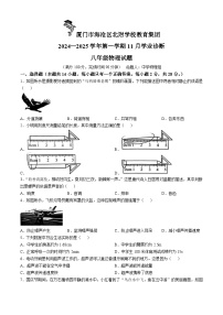 福建省厦门市海沧区北附学校教育集团2024－2025学年上学期八年级物理期中试卷(无答案)