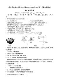 重庆市渝北区实验中学校2024-2025学年上学期九年级物理期中试卷