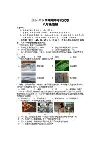 湖南省邵阳市武冈市2024-2025学年八年级上学期期中考试物理试题