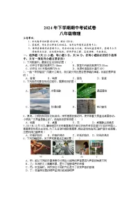 湖南省邵阳市武冈市2024-2025学年八年级上学期期中考试物理试题