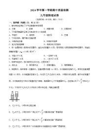 上海市浦东模范学校2024-2025学年九年级上学期期中物理卷(无答案)