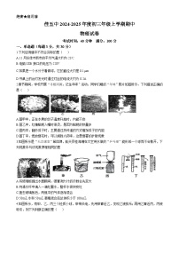 黑龙江省佳木斯市2024-2025学年九年级上学期11月期中物理试题(无答案)