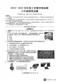 湖北省荆州市2024-2025学年八年级上学期11月期中物理试题（附参考答案）