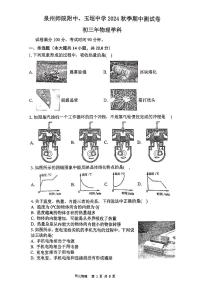 福建省泉州市丰泽区泉州师范学院附属中学等2024-2025学年九年级上学期11月期中物理试题