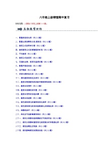 期中复习-初中物理八年级上册 易错题+压轴题（人教版2024）