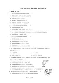 湖南省衡阳市四校联考2024-2025学年九年级上学期11月期中物理试题