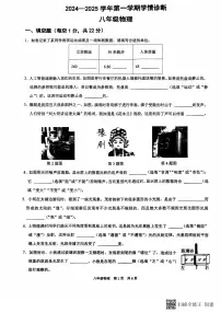 河南省安阳市文峰区安阳第八中学2024-2025学年八年级上学期11月期末物理试题