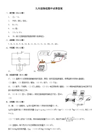 河南省安阳市文峰区安阳第八中学等校2024-2025学年九年级上学期11月期中物理试题