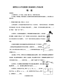 河南省南阳市新野县 2024-2025学年九年级上学期期中质量调研物理试卷