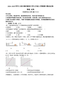 上海市徐汇区上海市南洋模范中学2024-2025学年九年级上学期11月期中物理试题