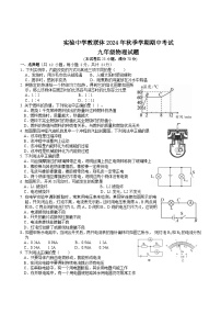 湖北省宜昌市当阳市实验初级中学2024-2025学年九年级上学期11月期中物理试题