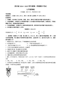 贵州省遵义市2024-2025学年九年级上学期11月期中物理试题