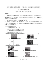 云南省凤庆县第一中学2024-2025学年九年级上学期11月期中物理试题