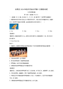 陕西省渭南市合阳县2024年中考一模物理试卷（解析版）
