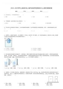 2024～2025学年上海闵行区上海市实验学校西校初三(上)期中物理试卷[原题+解析]