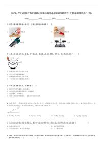 2024～2025学年江苏无锡锡山区锡山高级中学实验学校初三(上)期中物理试卷(11月)[原题+解析]