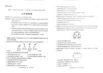 广东省阳江市2024-2025学年上学期九年级物理期中试题