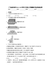 广东省东莞市2024-2025学年八年级上学期期中考试物理试卷(含答案)