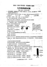 山东省聊城市临清市2024-2025学年九年级上学期11月期中物理试题