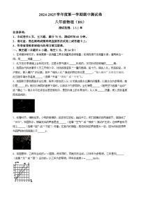 河南省新乡市卫辉市2024-2025学年八年级上学期11月期中物理试题(无答案)