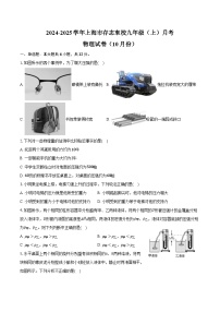 2024-2025学年上海市存志东校九年级（上）月考物理试卷（10月份）（含答案）