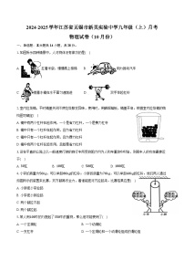 2024-2025学年江苏省无锡市新吴实验中学九年级（上）月考物理试卷（10月份）（含答案）