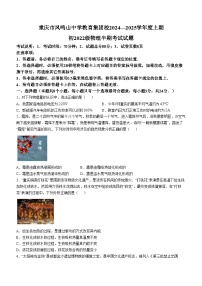 重庆市凤鸣山中学教育集团校2024-2025学年九年级上学期期中考试物理试题