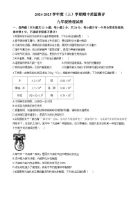 湖北省孝感市汉川市2024-2025学年九年级上学期11月期中物理试题(无答案)