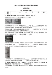 河南省驻马店市汝南县2024-2025学年八年级上学期11月期中物理试题(无答案)