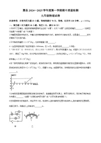 安徽省宿州市萧县2024-2025学年九年级上学期11月期中物理试题(无答案)