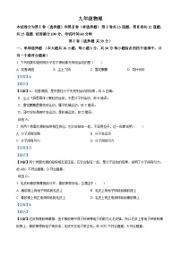 解析：天津市红桥区2024-2025学年九年级上学期期中考试物理试题（解析版）