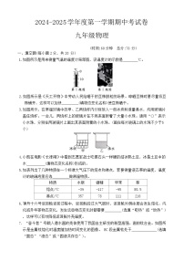 河南省周口市商水县大武乡第二初级中学等校2024-2025学年九年级上学期11月期中物理试题