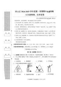 湖北省武汉市洪山区2024-2025学年九年级上学期11月期中物理、化学试题