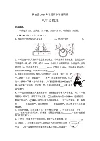 河南省南阳市桐柏县2024-2025学年八年级上学期11月期中物理试题