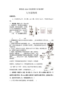 河南省南阳市桐柏县2024-2025学年九年级上学期11月期中物理试题