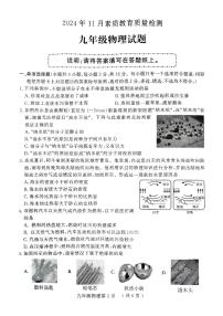 山东省菏泽市曹县2024-2025学年九年级上学期11月期中物理试题