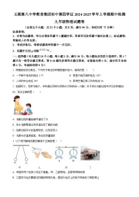 云南省玉溪市第八中学2024-2025学年九年级上学期期中考试物理试题（原卷版）
