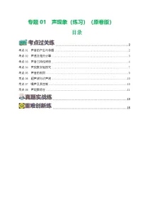 2025年中考物理一轮复习练与测专题01 声现象（练习）（解析版）